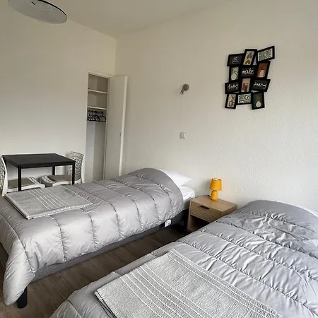 Apartment Calme Centre-ville Avec Wifi, Animaux Admis - Fr-1-555-126