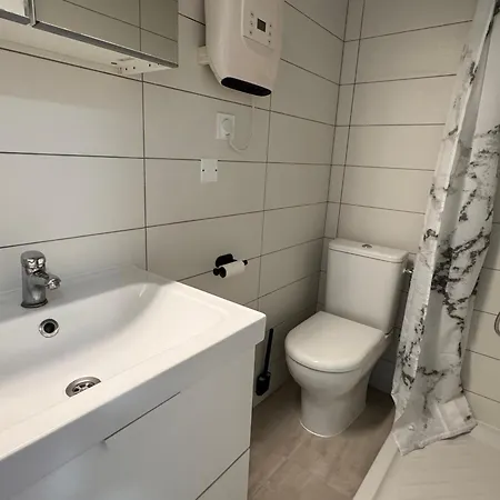 Calme Centre-ville Avec Wifi, Animaux Admis - Fr-1-555-126